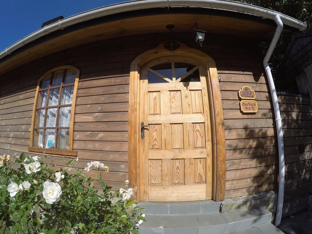 Omi Kika B&B Villarrica Exterior photo