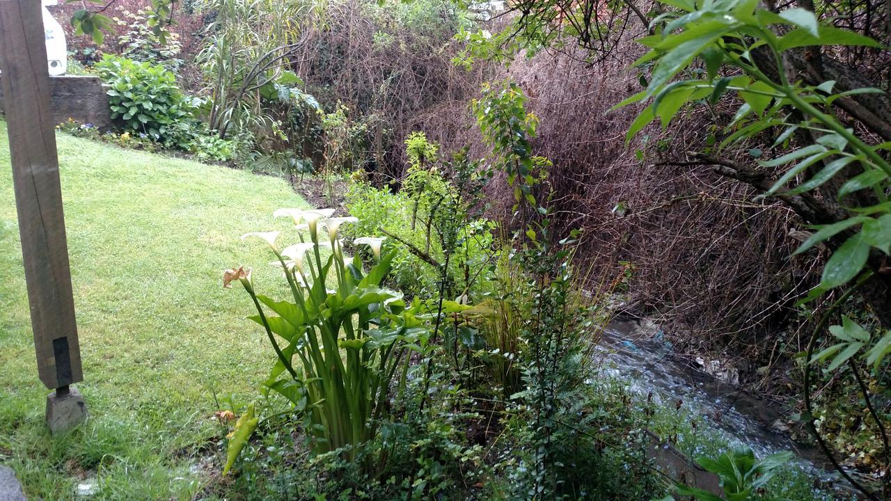 Omi Kika B&B Villarrica Exterior photo