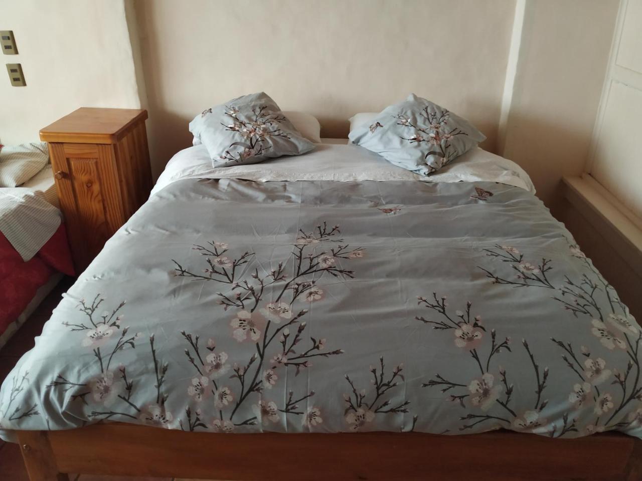 Omi Kika B&B Villarrica Exterior photo